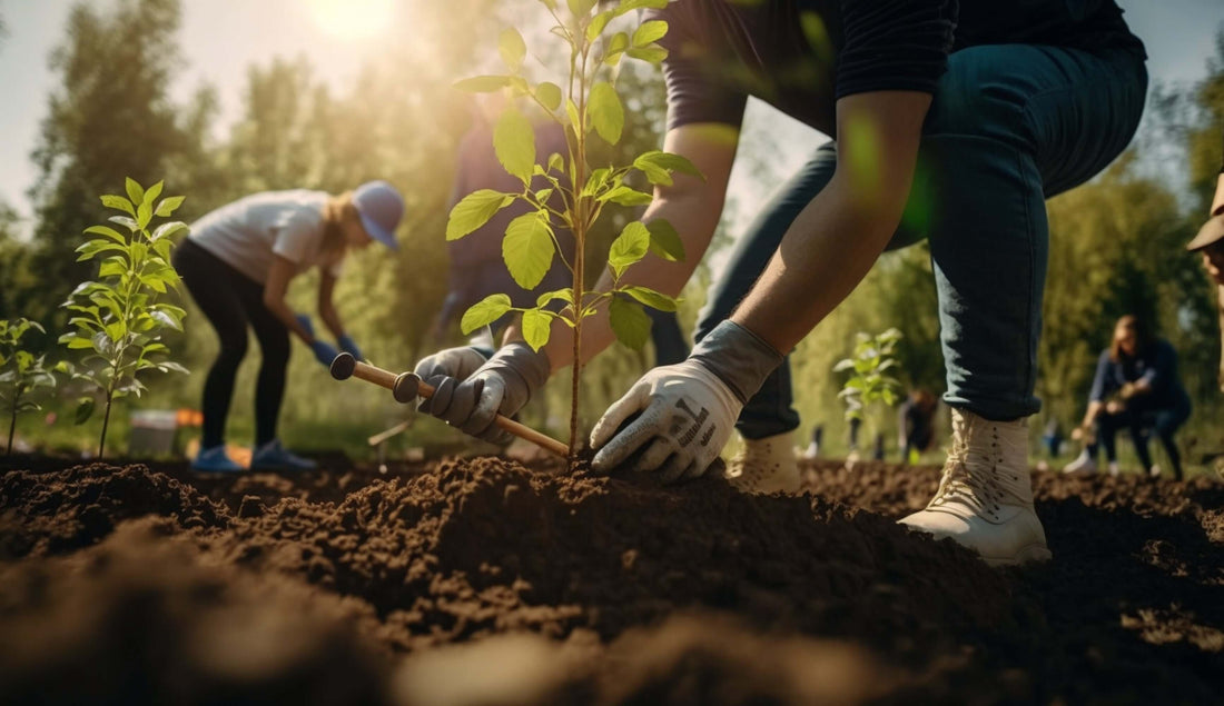 Tree planting for earth day