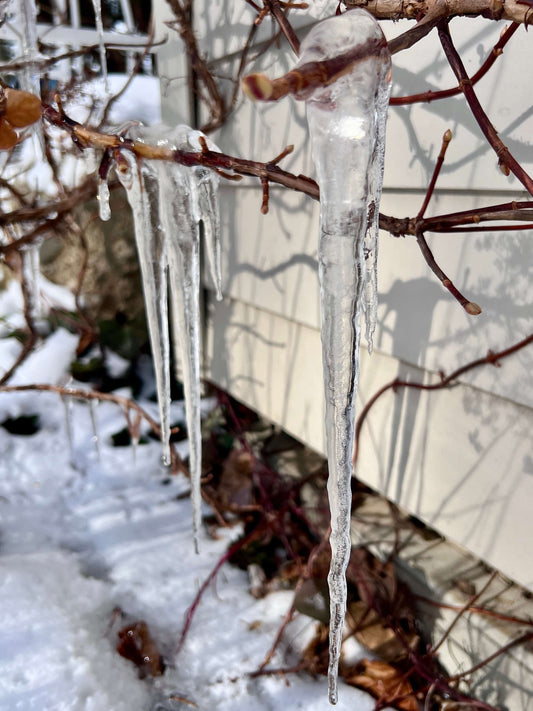 Icicles image