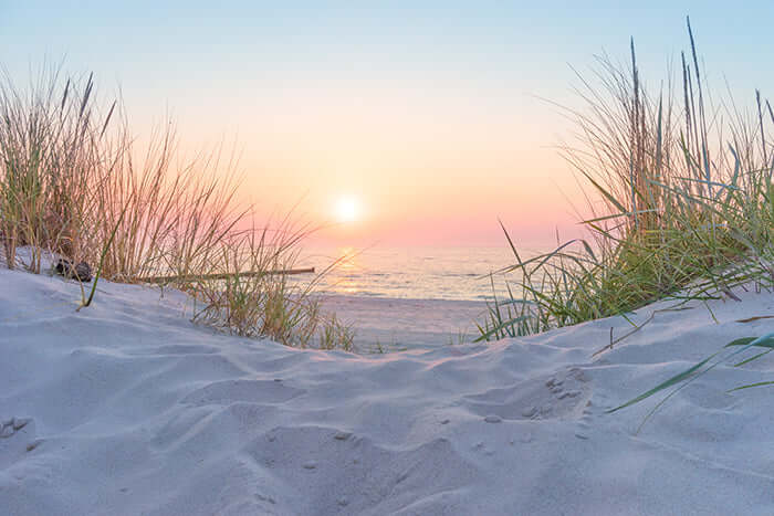 Beach Grass scene