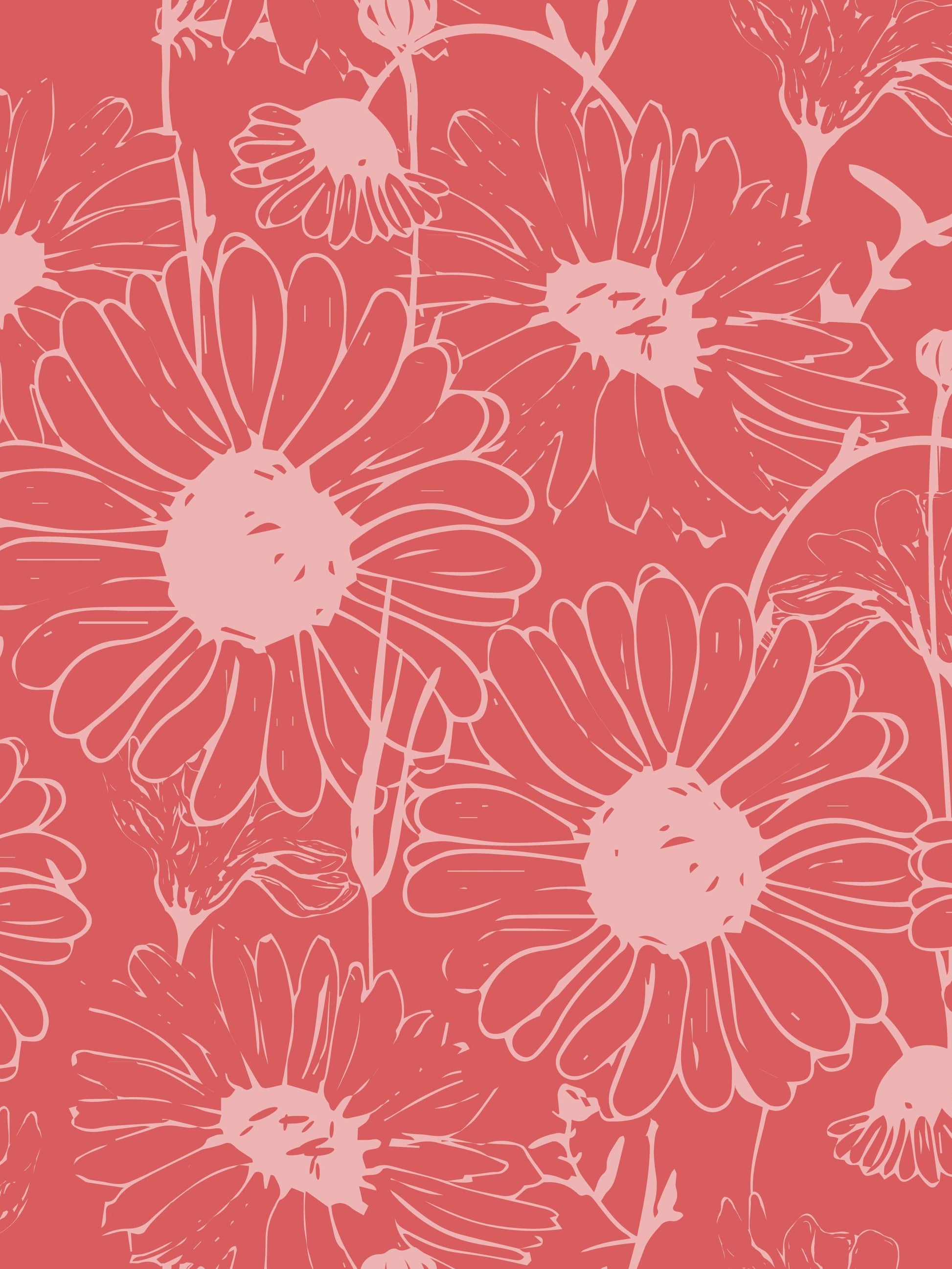 Daisy Wallpaper, Spiced Coral