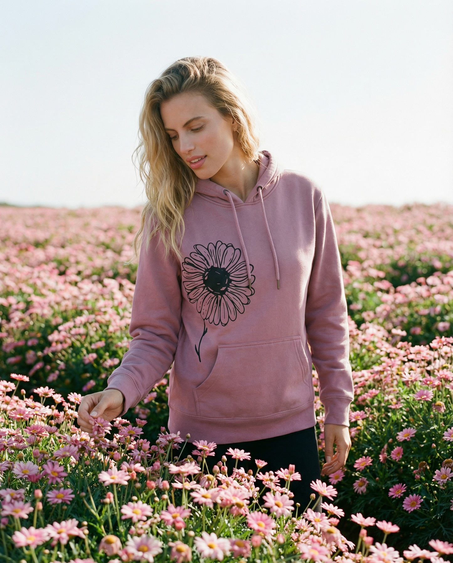 Daisies 100% Organic Cotton Pullover Hoodie, Lavender